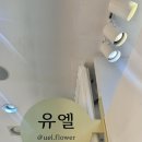 유엘 | 대전 둔산꽃시장 둔산동 꽃집 유엘플라워 내돈내산 솔직 후기