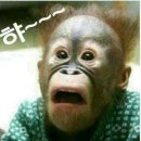 동진환경 이미지