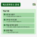 농촌활력과 2층 | 보성로컬살롱_1. 보성차박물관 관람 안내, 녹차족욕카페, 백록다원, 보성녹차떡갈비 후기