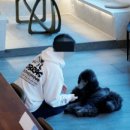 펫 매니저 이미지