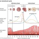 본스필한의원 이미지