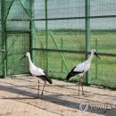 천수만수