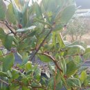 오암농장 이미지