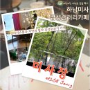 감성커피 하남미사점 | 하남미사카페_내돈내산♪ 미사장 갤러리 같은 분위기에서 커피 한잔(feat.미사 느좋카페)