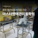 수강약국 | 청주마스터펫애견미용학원 상담하고 온 날 시설부터 커리큘럼까지 꼼꼼정리