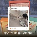 701 | 하남 701아를고양이카페 방문 후기