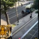 인터넷물류(주)노동조합 | 추석내내 알바만 한 사람