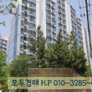 산호대로-21 네이버블로그