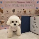 바이그루밍 이미지