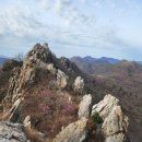 무거마을회관 | 강진//덕룡산.석문산.만덕산 진달래산행(240331)