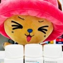 서울남양주 동물약국 이미지