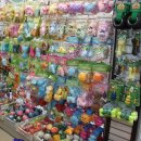 초롱애견 이미지