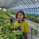 천만농장2 이미지