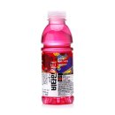 바디케어짐 이미지