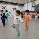 T마스터 태권도 이미지