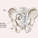 미려 - 용인시 수지구 성복2로 92 | 미려