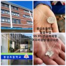 봉삼초등학교 이미지