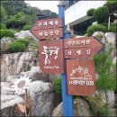 8월 사회적기업가 육성사업 담임 멘토 김재훈 활동 후기_남은 시간 동안 창업팀들을 위해 나는 무엇을...