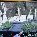 다섯손가락 | 붉은 사막 다섯손가락산 퍼즐 위치/공략/리뷰 후기