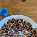 알록네이처 이미지