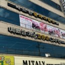 예뻐질:개&고양이카페 이미지