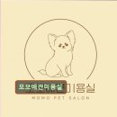 모모애견미용실 이미지