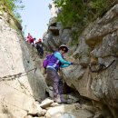 공룡약국 이미지