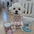 반려동물을 위한 수제간식&아로마제품 제작반 | 바른멍쿡 강아지 수제간식 후기, 기호성 좋은 휴먼그레이드 간식🐻‍❄️