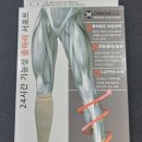 메디원네스
