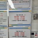 성동청소년수련관 | 성동청소년센터 수영장 주말 자유수영 시간표, 요금 (ft. 새벽수영)