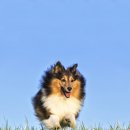 수정동물병원 이미지