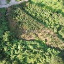 김씨네공인중개사사무소 이미지