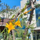 원터로17번길 이미지