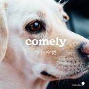 어여쁜 : COMELY 이미지