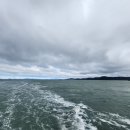 송림모텔 | 보길도의 봄🌸 세연정, 천둥약수터, 예송해변, 송시열 글쓴 바위