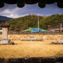 토끼김밥 이미지