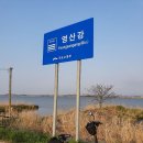 영산강식당 Daum카페