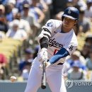 메이저 - 해운대구 해운대해변로 203 | 메이저