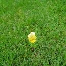 매월골프랜지 이미지