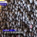 자연과함께(주) 이미지