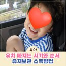 유치 빠지는 순서 시기 6세 발치 과산화수소 소독방법