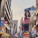 순댕이샵 | 서울 고양이카페 루프캣미 명동점 다른 동물카페와 확실히 다르네