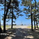 청솔매점
