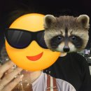 앞산강아지 이미지