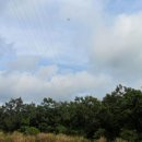 수망리교차로 2 이미지