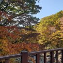 한라산공인중개사사무소 네이버블로그