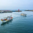 천리포항 이미지