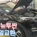 뉴현대모터스 이미지