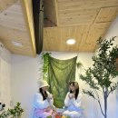 리리포레스트 이미지