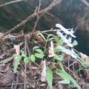 나리빛펜션 이미지